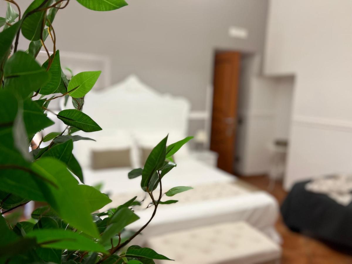 Miluar - Centro Storico - Lungo La Via Della Musica Bed & Breakfast Napoli Dış mekan fotoğraf
